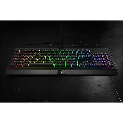 Razer Cynosa Chroma Multi-Color RGB Gaming Keyboard RZ03-02260100-R3M1