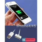 PISEN iPhone 4 (iPad 2/3) 30-pin 800mm USB Cable AP01-800