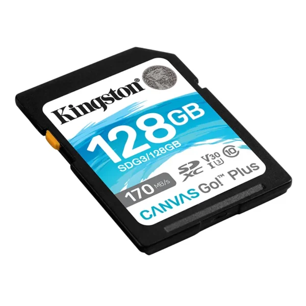 128GB Canvas Go Plus