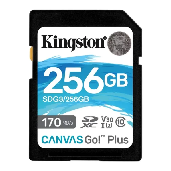 256GB Canvas-Go! Plus SD