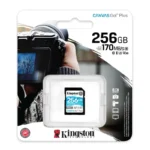 256GB Canvas-Go! Plus SD