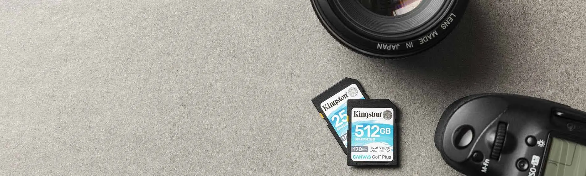 Kingston CANVAS GO PLUS SD