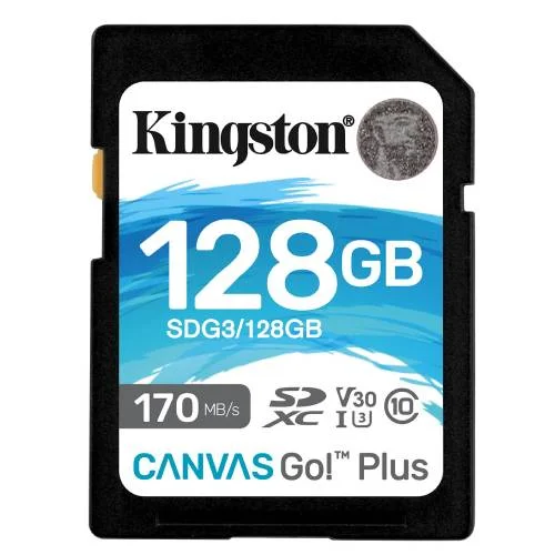 128GB Canvas-Go! Plus SD