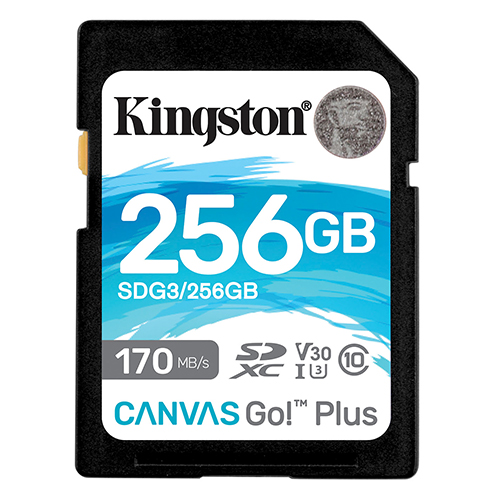 256GB Canvas-Go! Plus SD