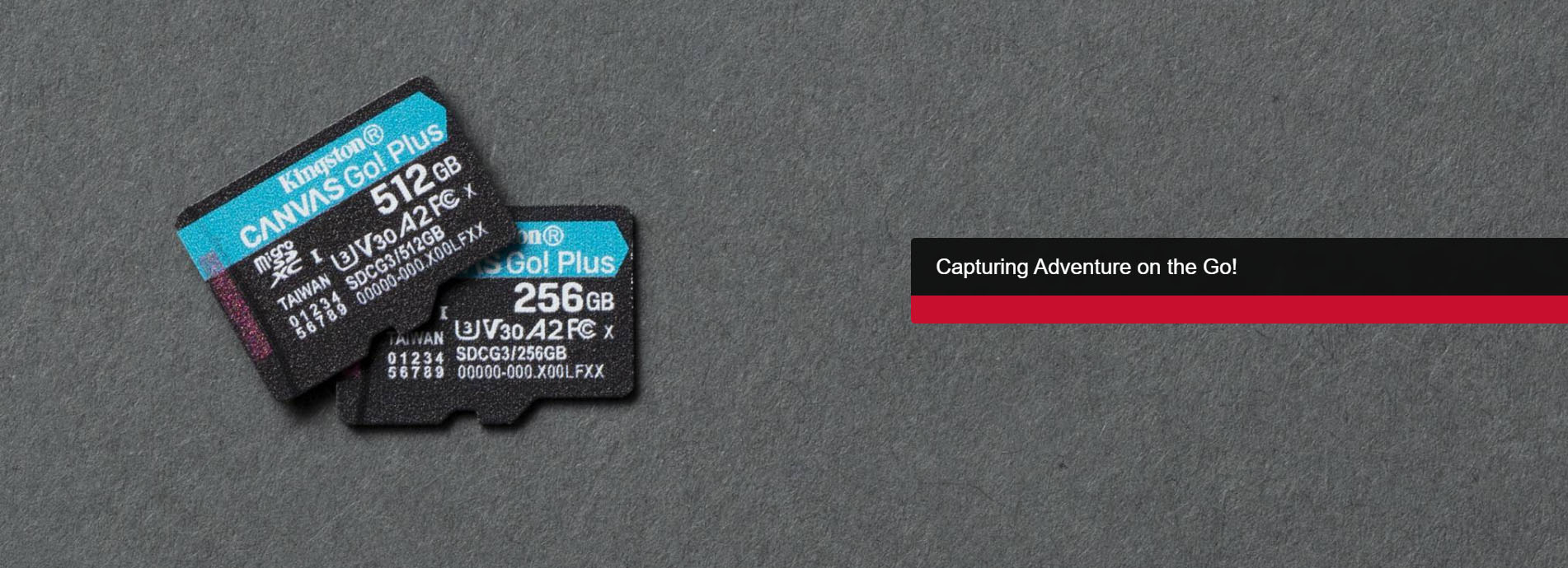 Kingston 256GB Canvas Go Plus microSD Memory Card SDCG3/256GB