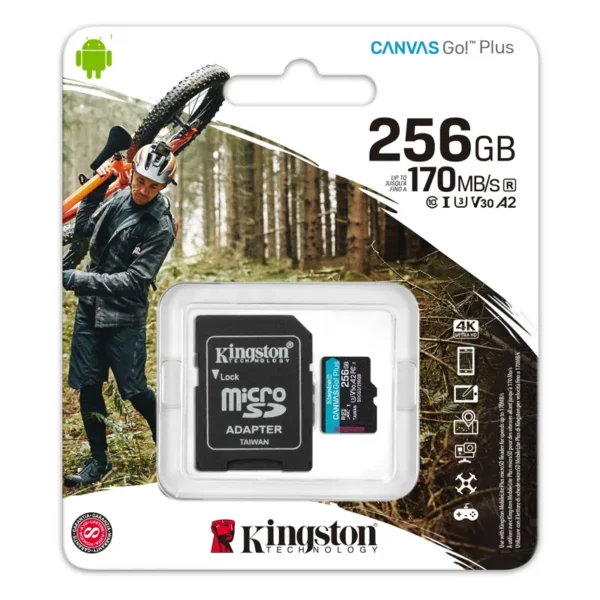 Kingston Canvas Go Plus