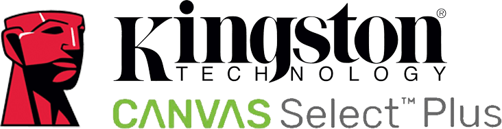 Kingston 1TB Canvas React Plus V60 SD Memory Card for 4K professional UHS-II cameras [ SDR2V6/1TB ]