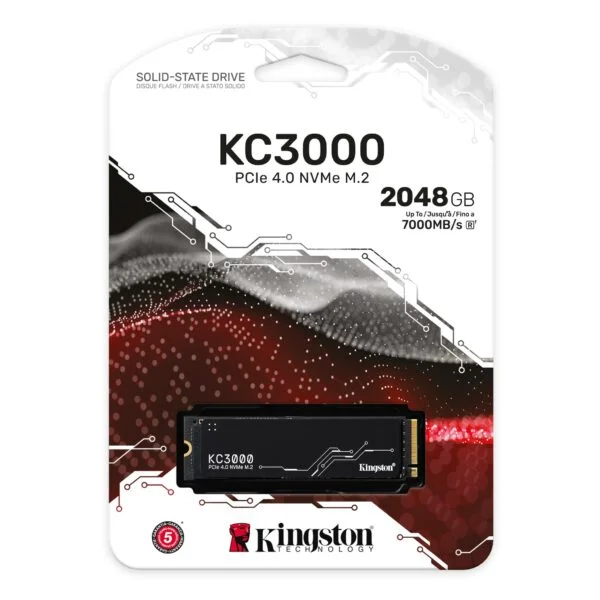 DISQUE DUR SSD KINGSTON FURY RENEGADE 500 GO (PCI-E 4.0)