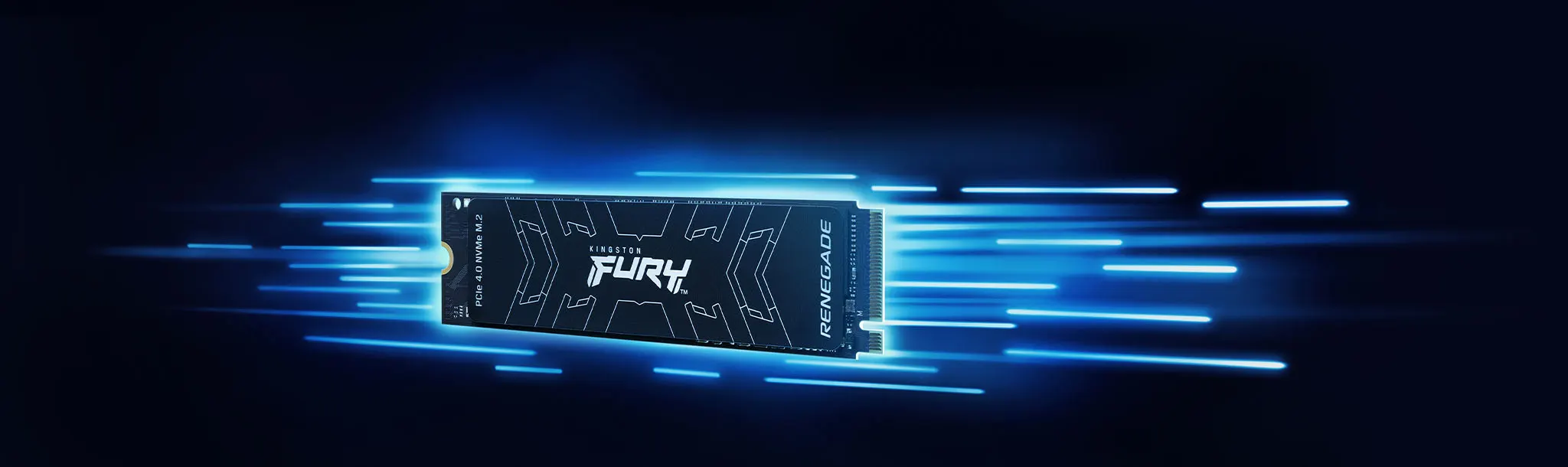 Kingston Fury Renegade NVMe