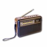 Raiseng Speaker Bluetooth R-528BTS