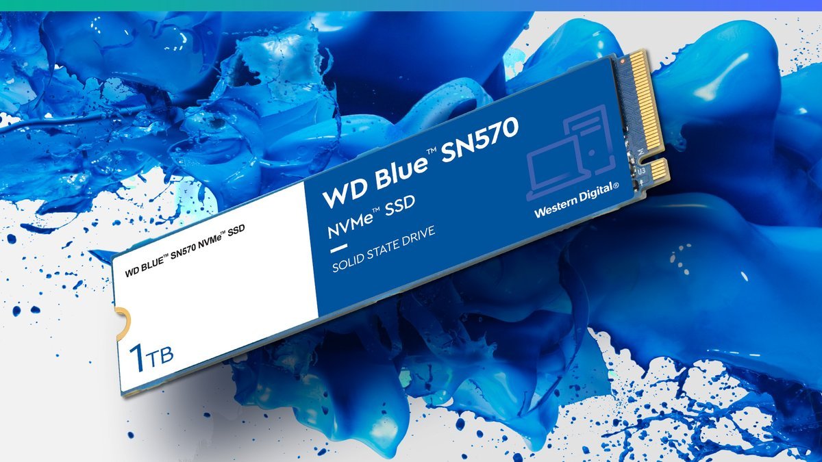 WD Western Digital Blue SN570 1TB NVMe™ SSD [ WDS100T3B0C ]