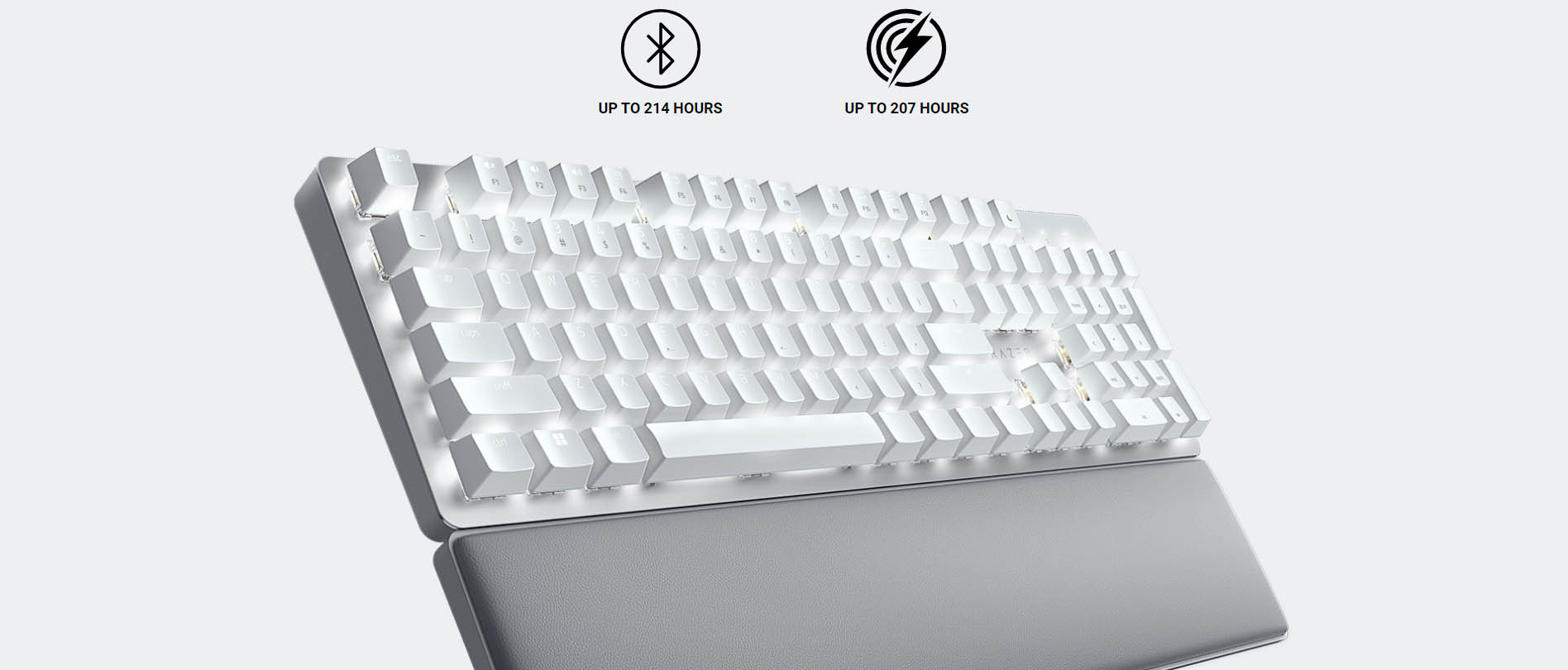 Razer Pro Type Ultra Mechanical Keyboard - Amman Jordan - PC Circle