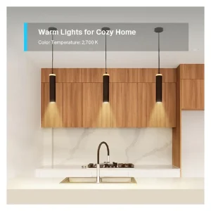 TP-Link Tapo Spotlight L610