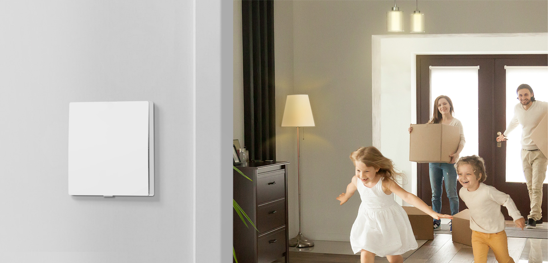 Tapo Smart Switch S210