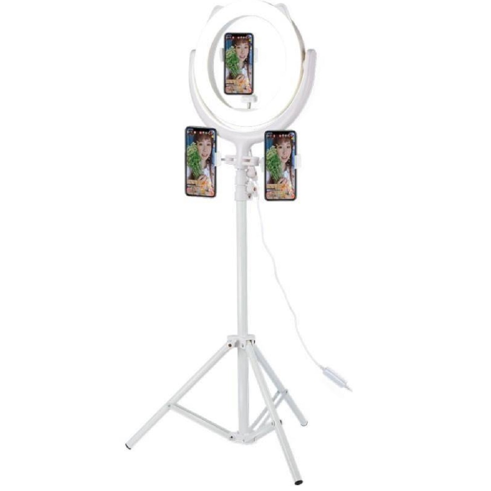 AGPtek Selfie Ring Light with Tripod Stand & Phone Holder, 6.3'' LED Ring  Light, Desktop Selfie Ringlight Hot Shoe Adapter for Beauty Makeup Live  Streaming YouTube Video Photography Shooting - Walmart.com