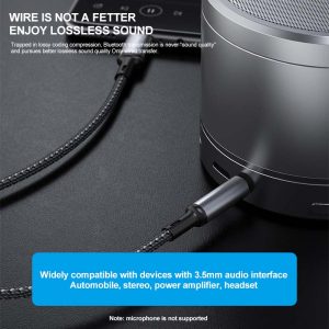 PISEN Braided Type-C to AUX 3.5mm - LH-YP02-1000