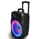 Bluetooth Speaker GZ-W1312 With Wireless Mic - Image 2
