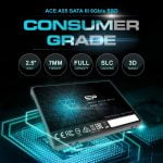 SP 256GB A55 SSD