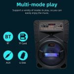 Wireless Speaker TTD-8245 Bluetooth
