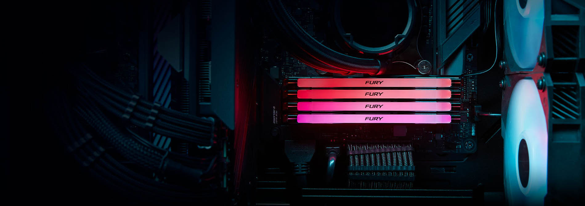 Kingston-FURY-Renegade-DDR5-RGB-Memory