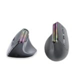 TMic V20LD Vertical Mouse