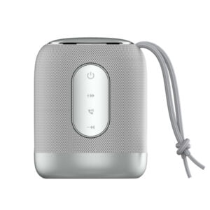 LDNIO 2000 mAh Bluetooth 5.0 Wireless Speaker [ BTS12 ]