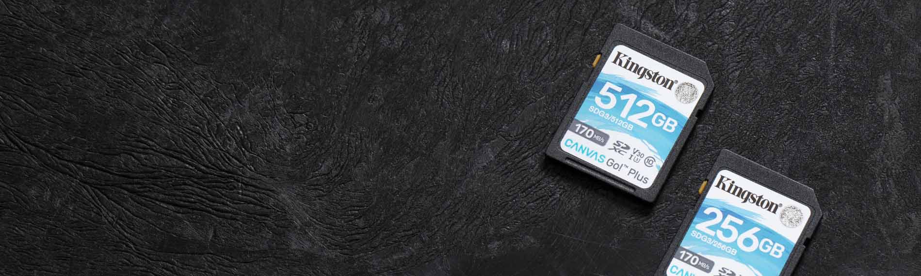 Kingston Canvas Go! Plus SD Memory Card