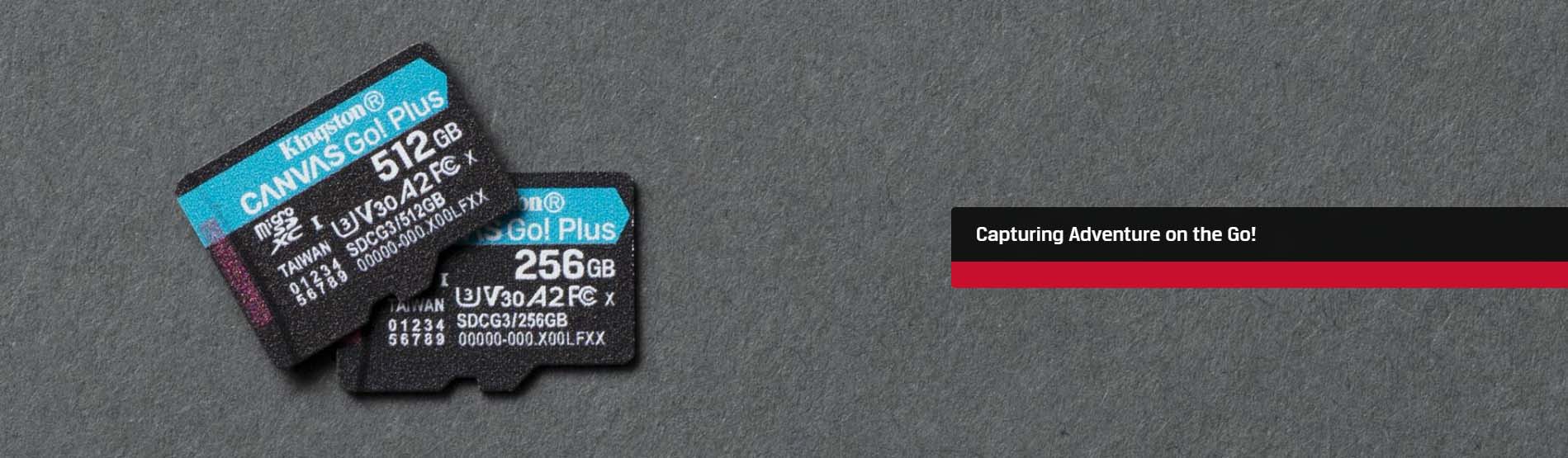 Kingston Canvas Go! Plus microSD Memory Card