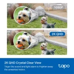 tplink tapo c420S2  Camera 