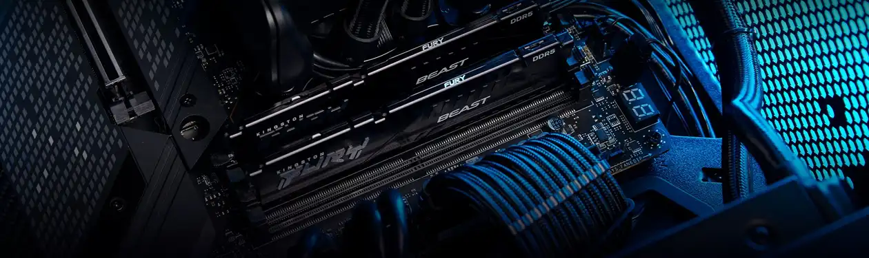 Kingston FURY Beast DDR5 Memory