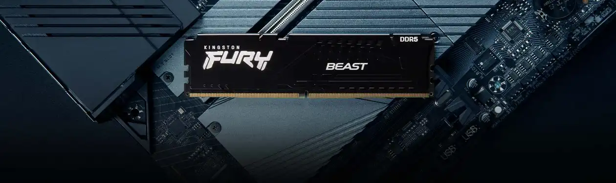 Kingston FURY Beast DDR5 Memory