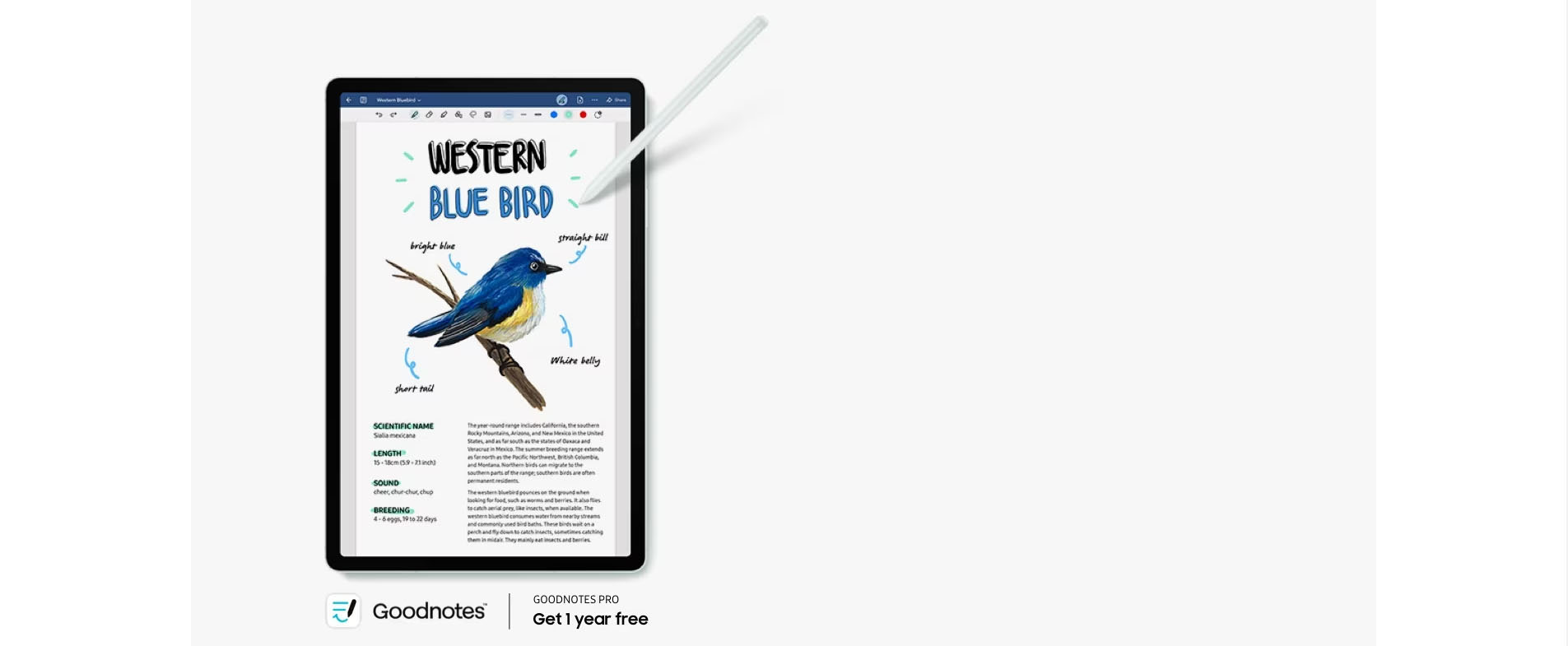 Samsung Galaxy Tab S9 FE SM-X510