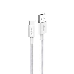 Pisen Vivid Type-C Cable