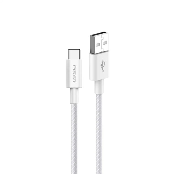 Pisen Vivid Type-C Cable