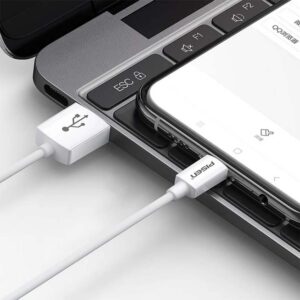 Pisen USB-C Cable TC25-200