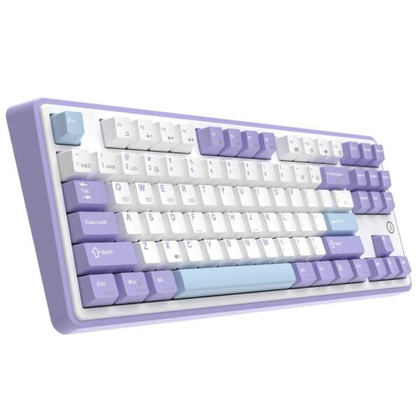 AJAZZ AK870 flying purple