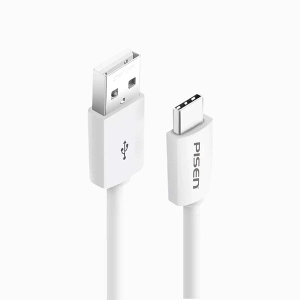 Pisen USB-C Cable TC25-200
