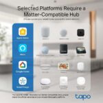 TP-Link Tapo P110M Plug