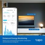 TP-Link Tapo P110M Plug