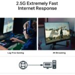 tp link 2.5 Gigabit 
