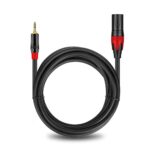 AUX TO XLR Cable