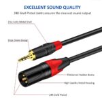 AUX TO XLR Cable