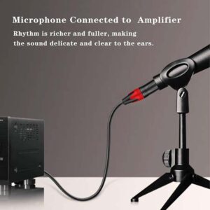 AUX TO XLR Cable