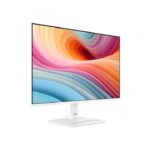 MSI PRO MP251W E2