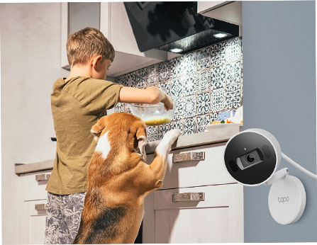 TP-Link Tapo AI Home Security Wi-Fi Camera [ Tapo C125D ]