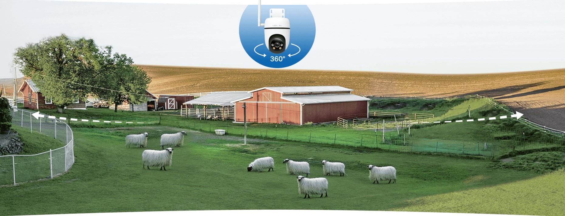 TP-Link Tapo C501GW Camera