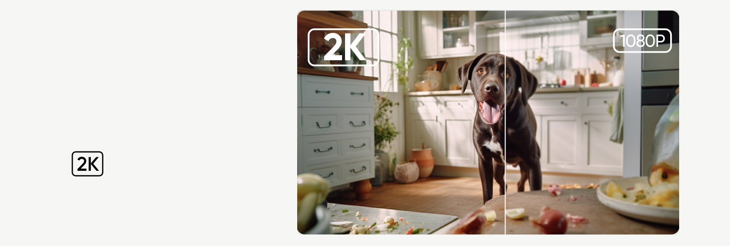 Anker eufy Security Indoor Cam (2K / 360° Pan and Tilt / Two-Way Audio) C220 [ T8W11321 ]