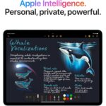 Apple 13" iPad Air