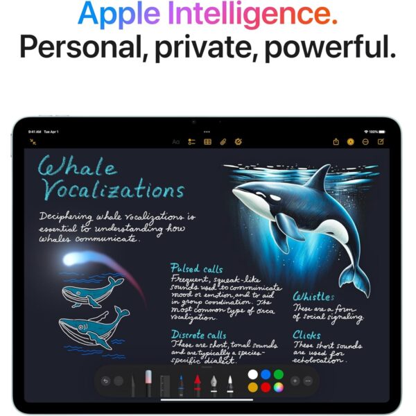 Apple 13" iPad Air