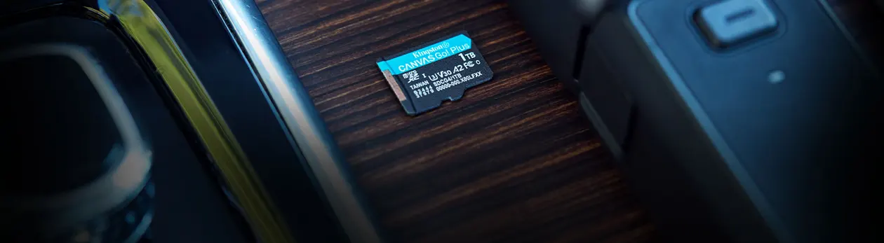 Kingston Canvas Go Plus microSD memory card SDCG4